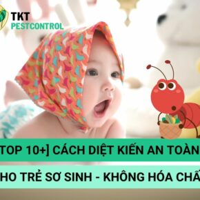 cach-diet-kien-an-toan-cho-tre-so-sinh