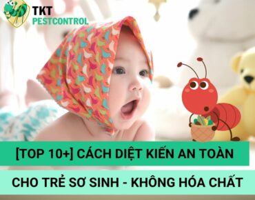 cach-diet-kien-an-toan-cho-tre-so-sinh