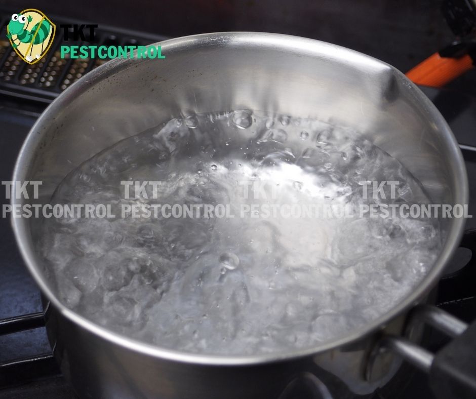 cach-diet-ruoi-cong