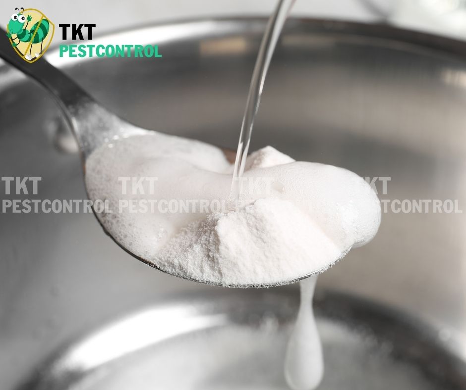 cach-diet-ruoi-cong