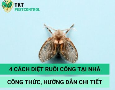 cach-diet-ruoi-cong