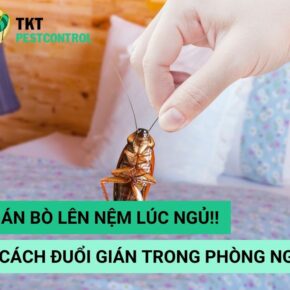 banner cach duoi gian trong phong ngu