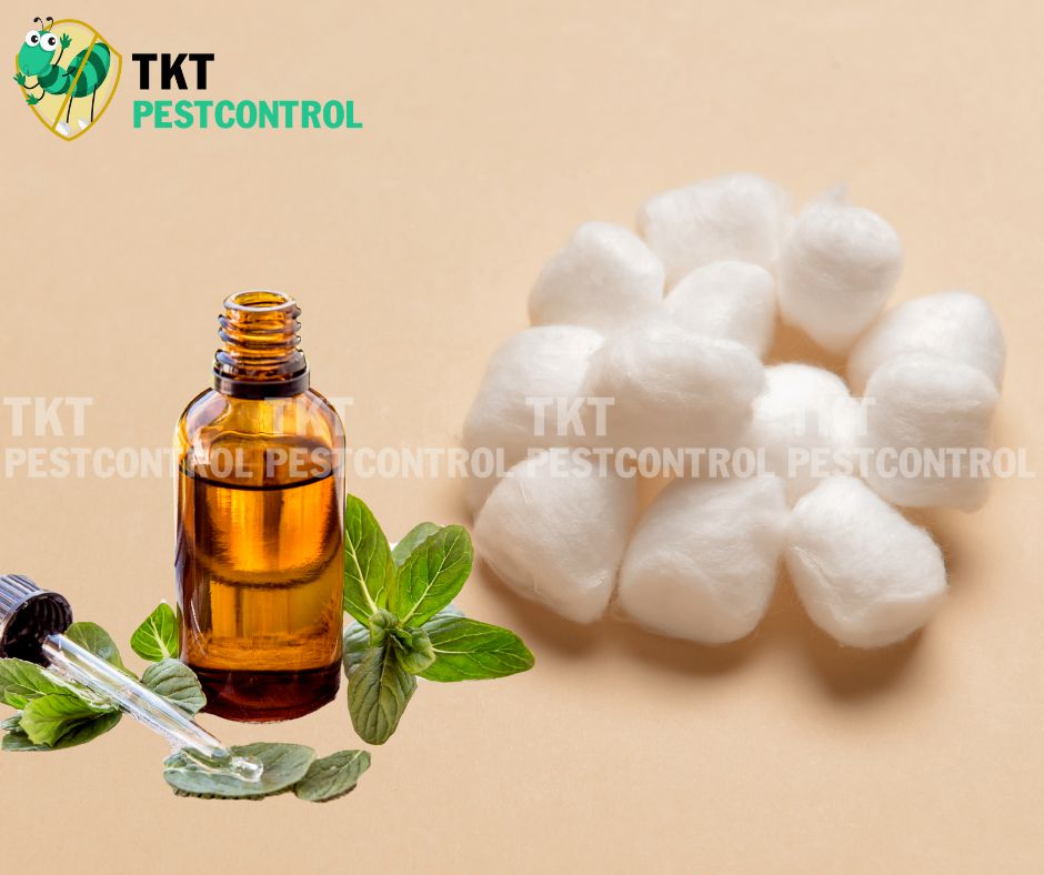 diet-kien-an-toan-cho-tre-so-sinh