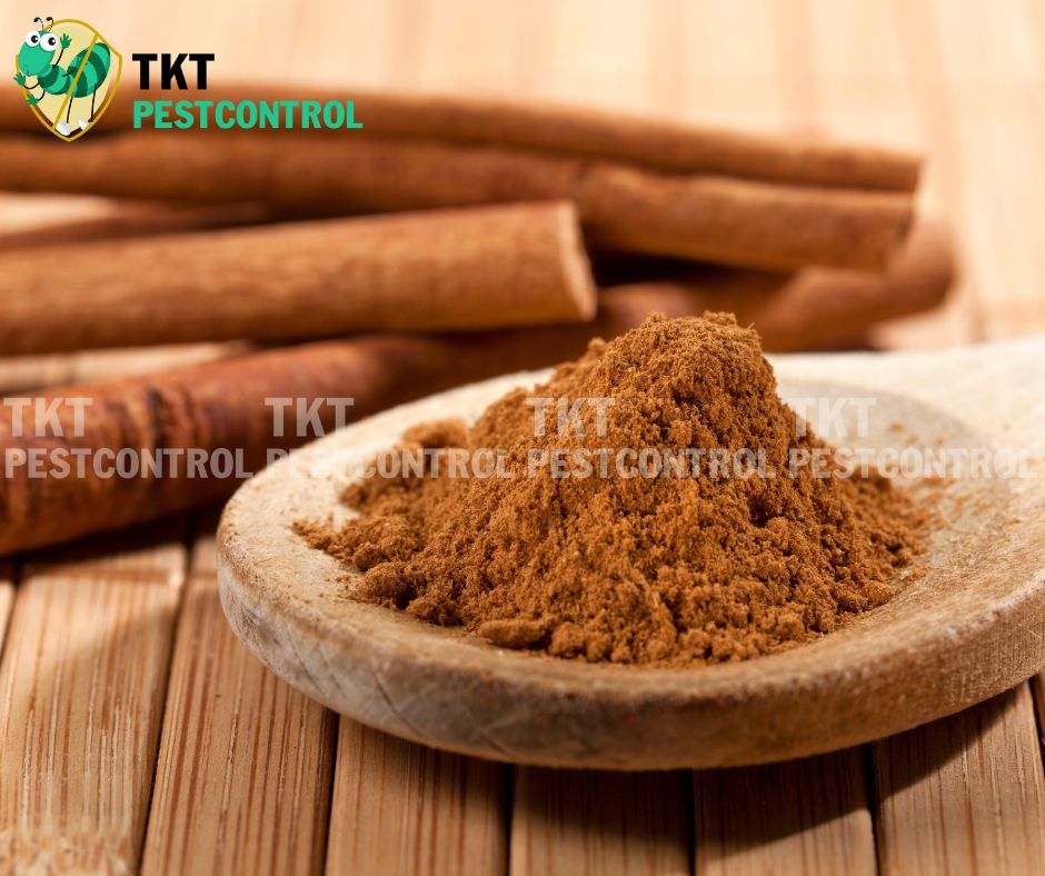 cach-diet-kien-an-toan-cho-tre-so-sinh