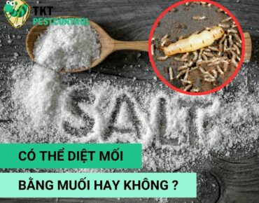 diet-moi-bang-muoi