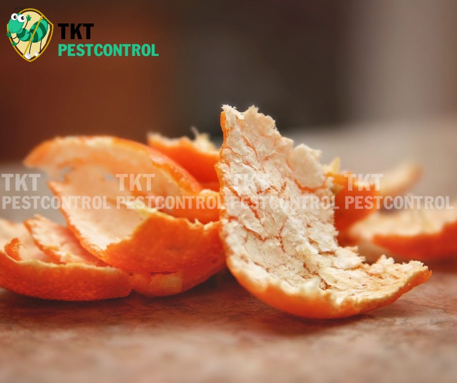 cach-diet-kien-an-toan-cho-tre-so-sinh