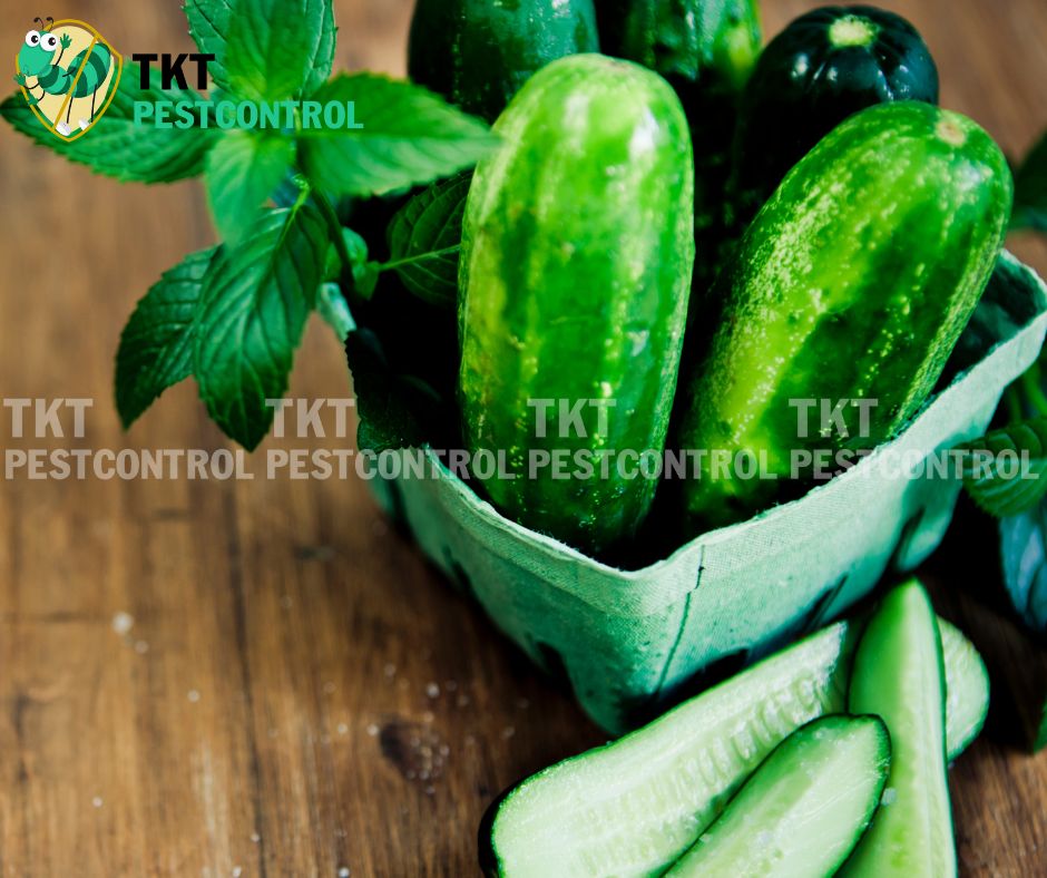 cach-diet-kien-an-toan-cho-tre-so-sinh