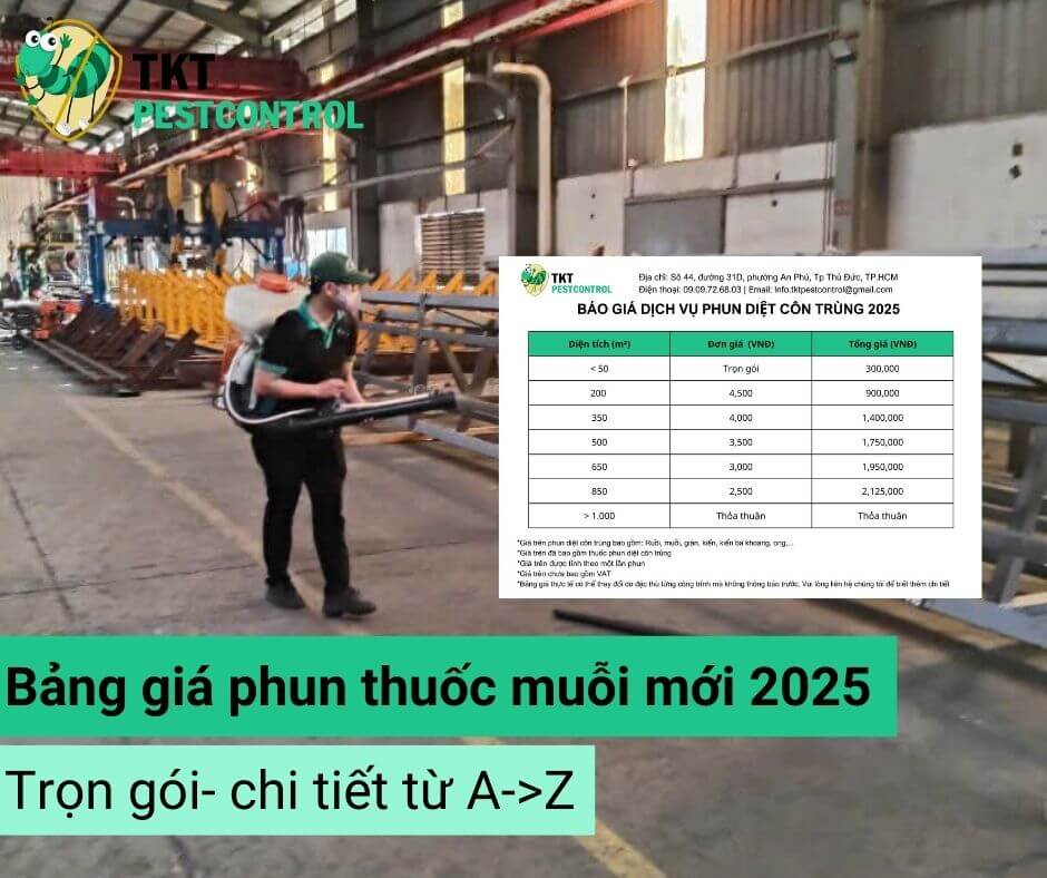 Bảng Giá Phun Thuốc Muỗi Trọn Gói Mới Nhất 2025: Chi Tiết Từ A Đến Z