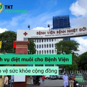 diet muoi cho benh vien