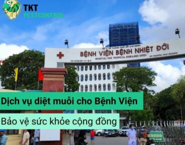 diệt muỗi cho bệnh viện