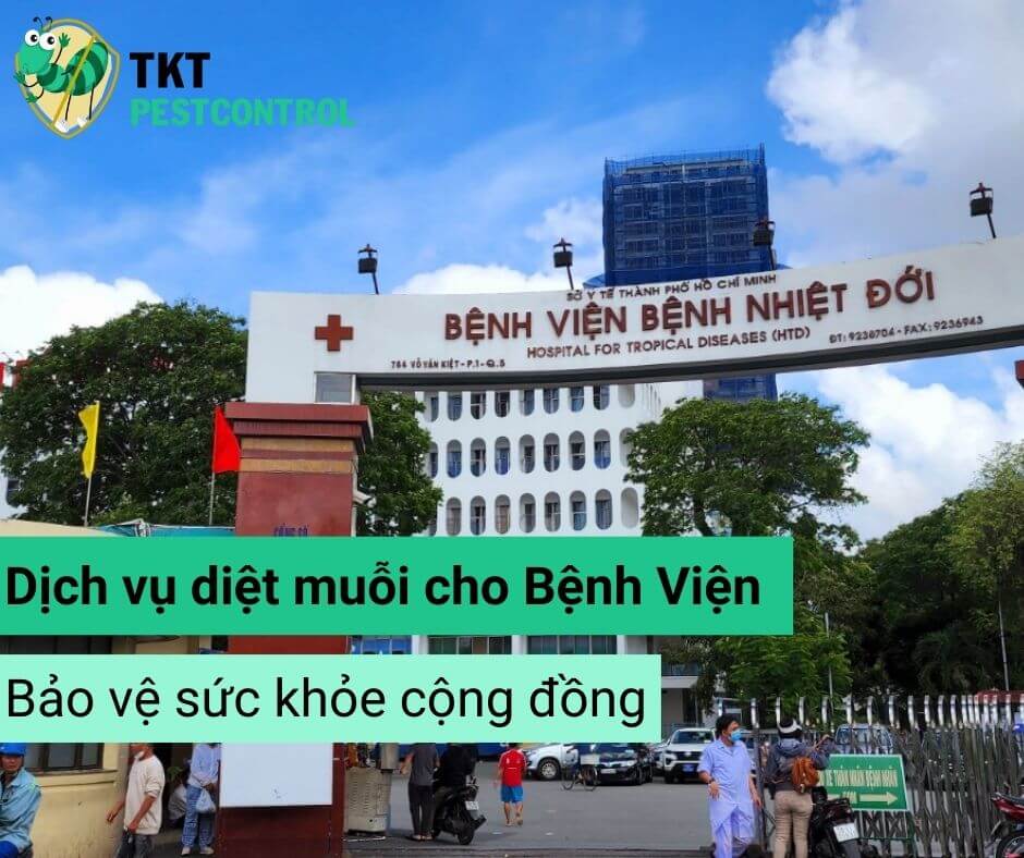 Giải pháp diệt muỗi toàn diện cho bệnh viện: Bảo vệ sức khỏe, nâng tầm uy tín