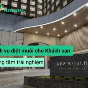 hinh bia diet muoi cho khach san
