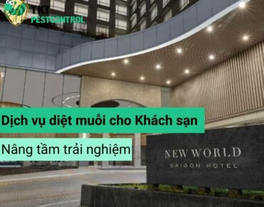 Hình nền diệt muỗi cho khách sạn