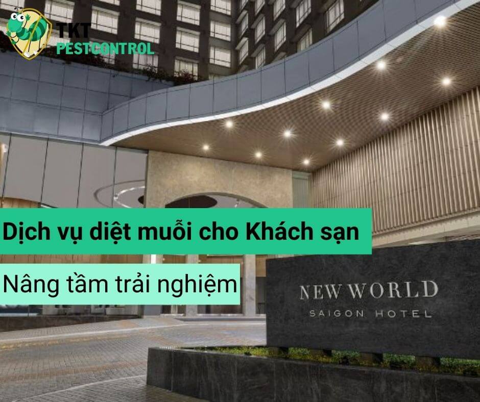 Giải Pháp Diệt Muỗi Toàn Diện Cho Khách Sạn: Nâng Cao Uy Tín và Bảo Vệ Sức Khỏe Khách Hàng