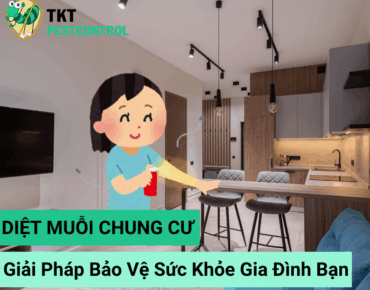 diet-muoi-chung-cu