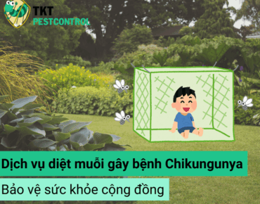 diet-muoi-gay-benh-chikungunya