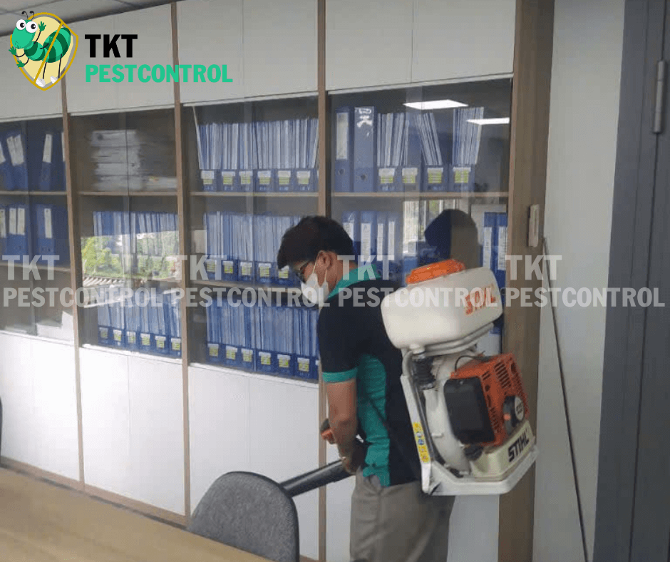 quy-trinh-diet-muoi-chung-cu