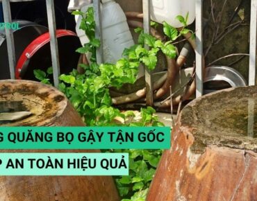 banner diet lang quang bo gay tan goc