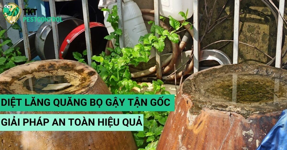 Diệt Lăng Quăng Bọ Gậy Tận Gốc – Giải Pháp An Toàn Từ TKT Pestcontrol