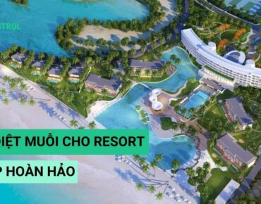 banner diet muoi cho resort