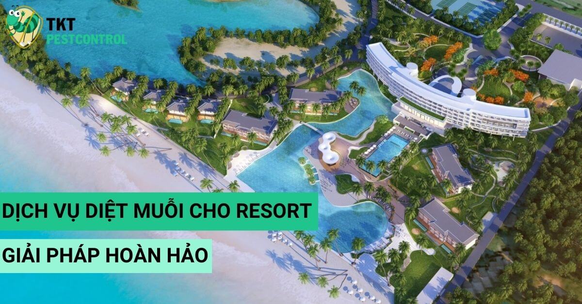 Mosquito Control for Resort | TKT Pestcontrol