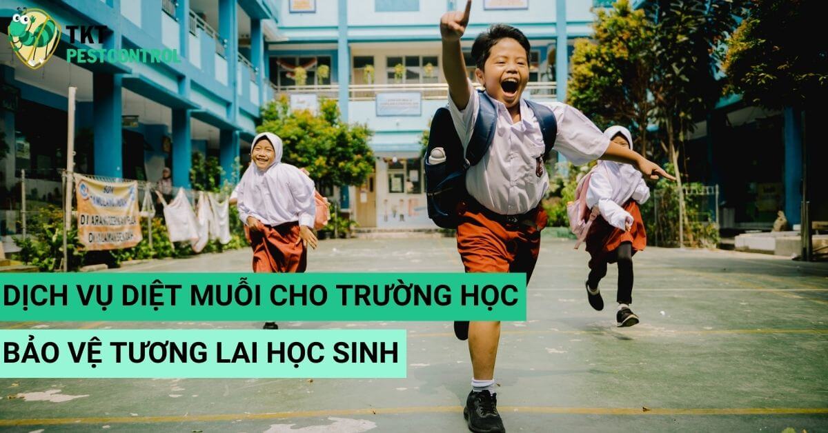 Mosquito Control Solutions for Schools | Protect Students’ Future with TKT Pestcontrol