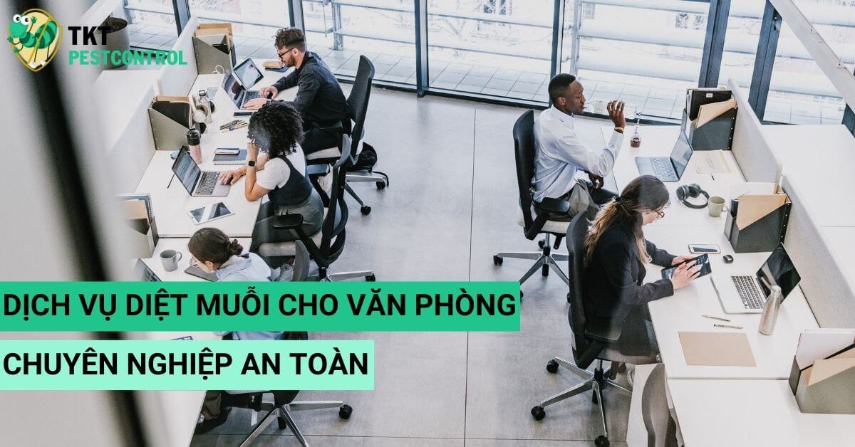 Diệt Muỗi Cho Văn Phòng: Giải Pháp Toàn Diện & An Toàn Cùng TKT Pestcontrol