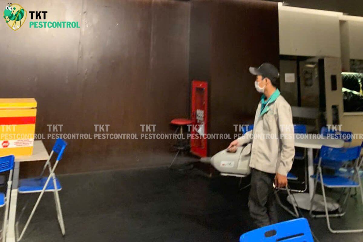 diet con trung phong an tkt