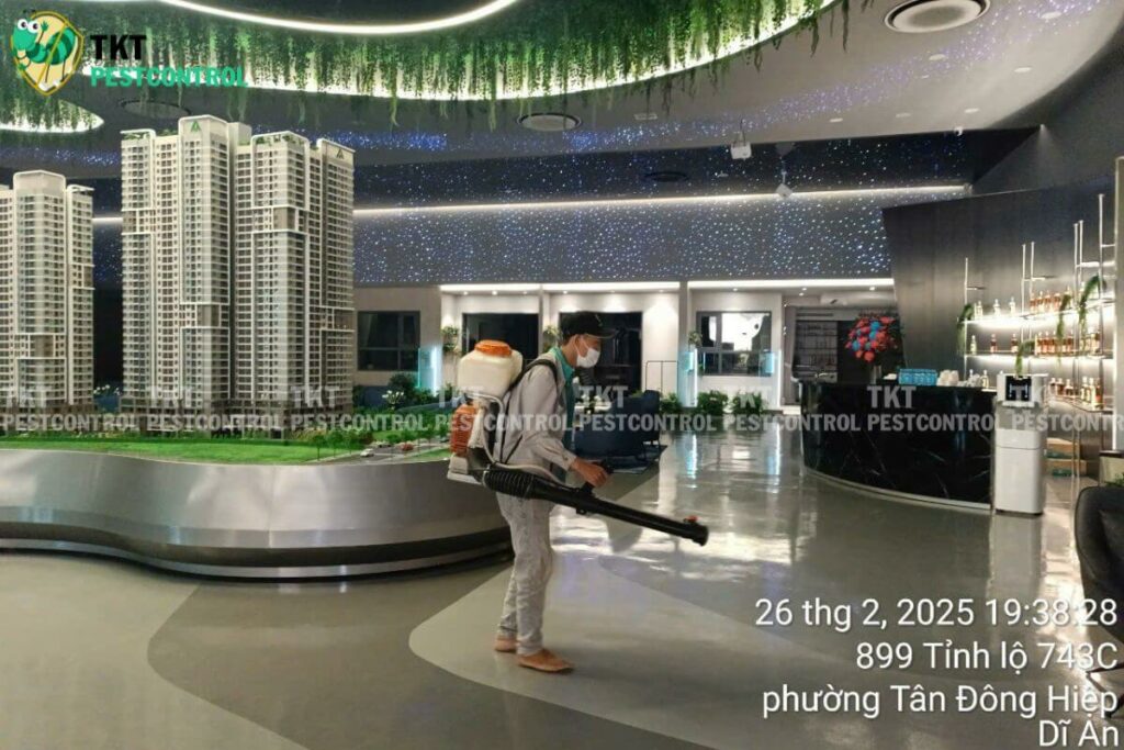 diet con trung phong trung bay tkt