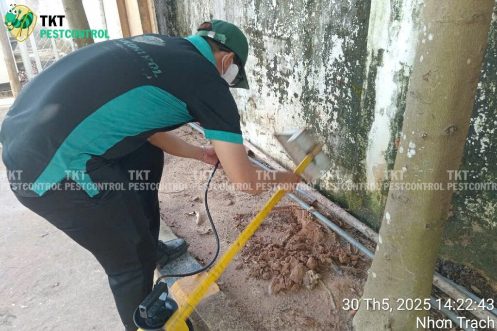 pp diet moi duoi long dat