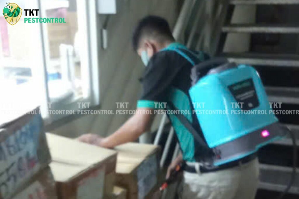 diet moi hang hoa tkt