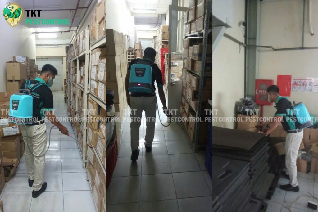 quy trinh diet moi kho hang