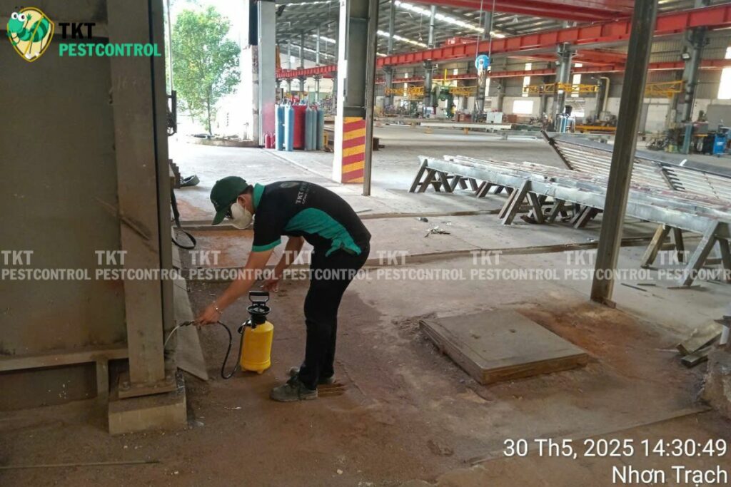 diet moi cac goc nha xuong go