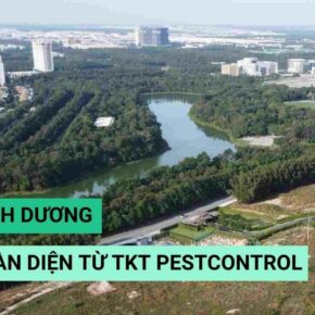 banner diet muoi binh duong