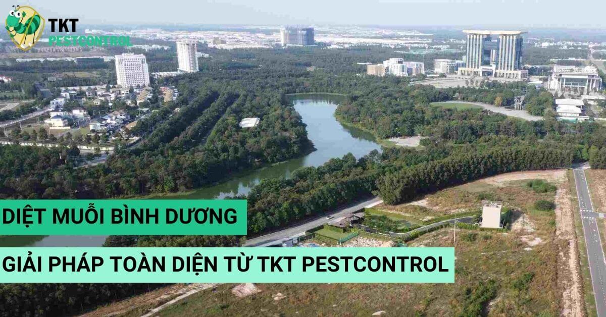 Diệt muỗi Bình Dương – Giải pháp toàn diện từ TKT Pestcontrol