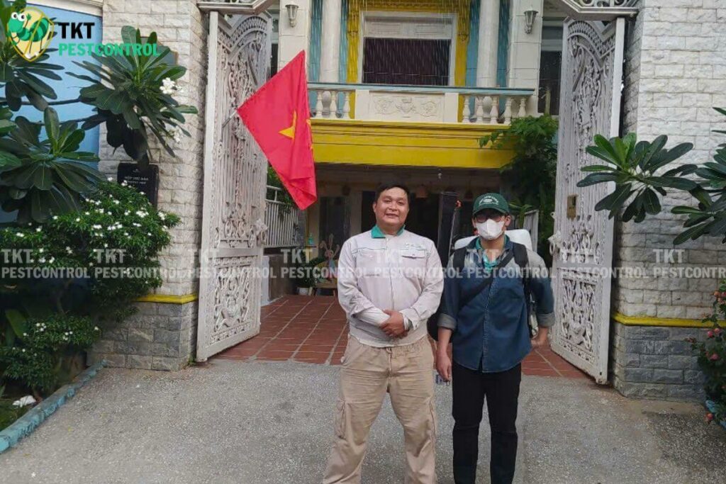 diet muoi truong học