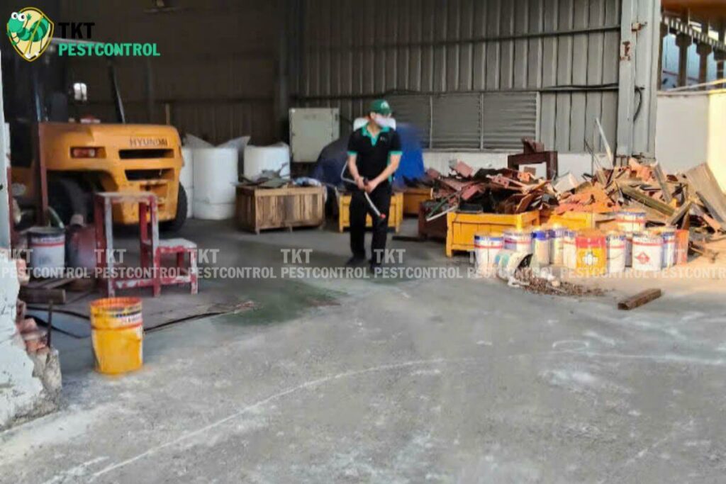 phong chong moi nha xuong cung tkt