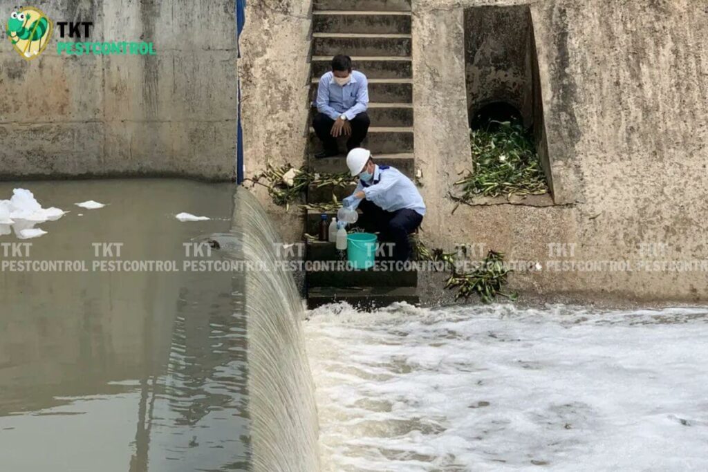 wastewater inspection staff