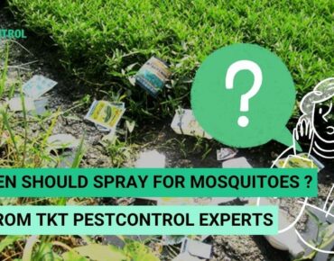 banner How often should I spray for mosquitoes