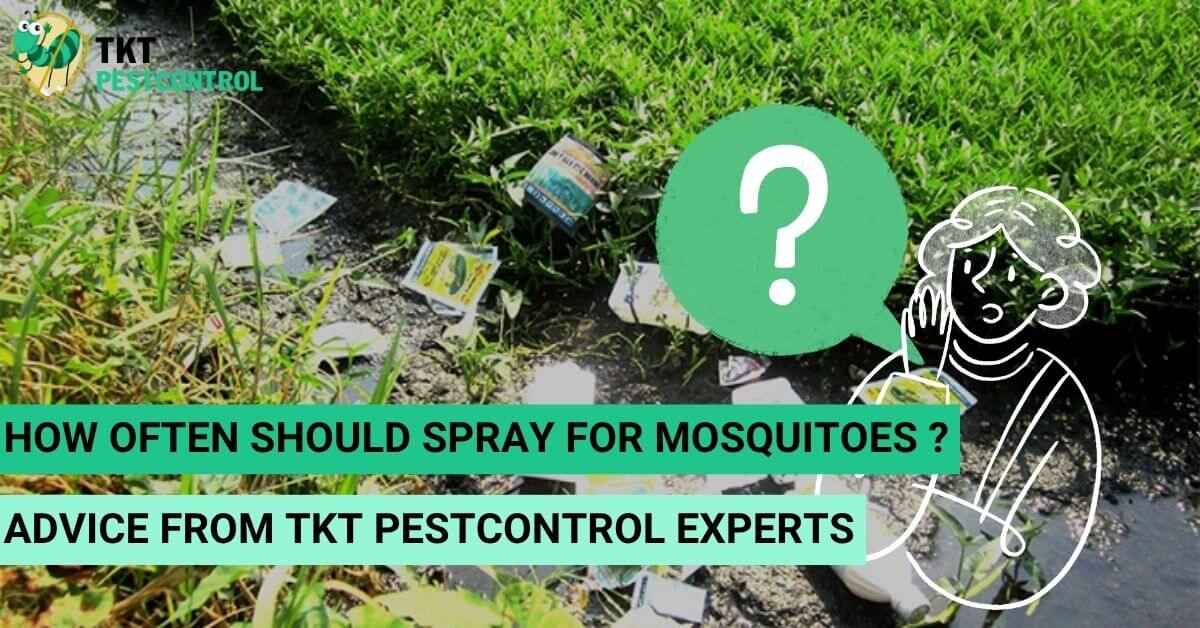 How Often Should You Spray For Mosquitoes? Detailed Answers From TKT Pestcontrol Experts