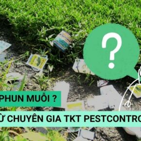 banner bao lau nen phun muoi