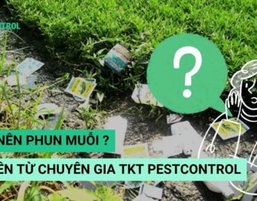 banner bao lau nen phun muoi