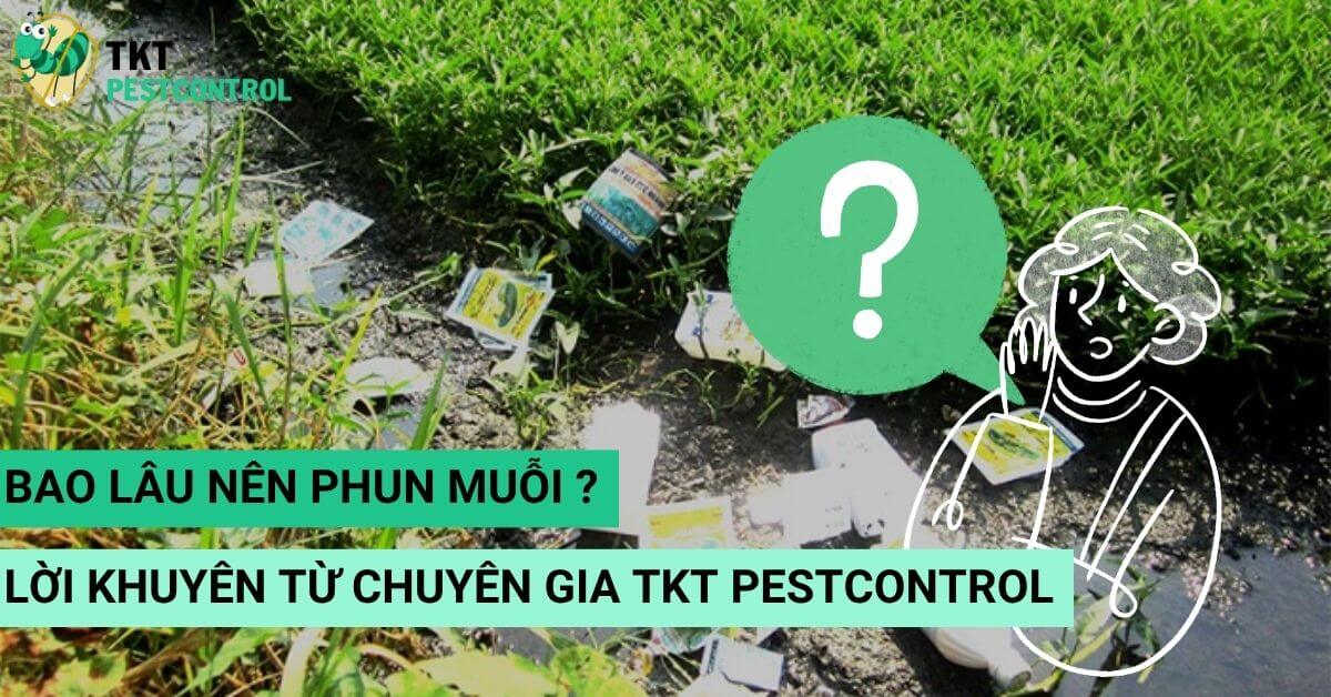 Bao Lâu Nên Phun Muỗi? Giải Đáp Chi Tiết Từ Chuyên Gia TKT Pestcontrol
