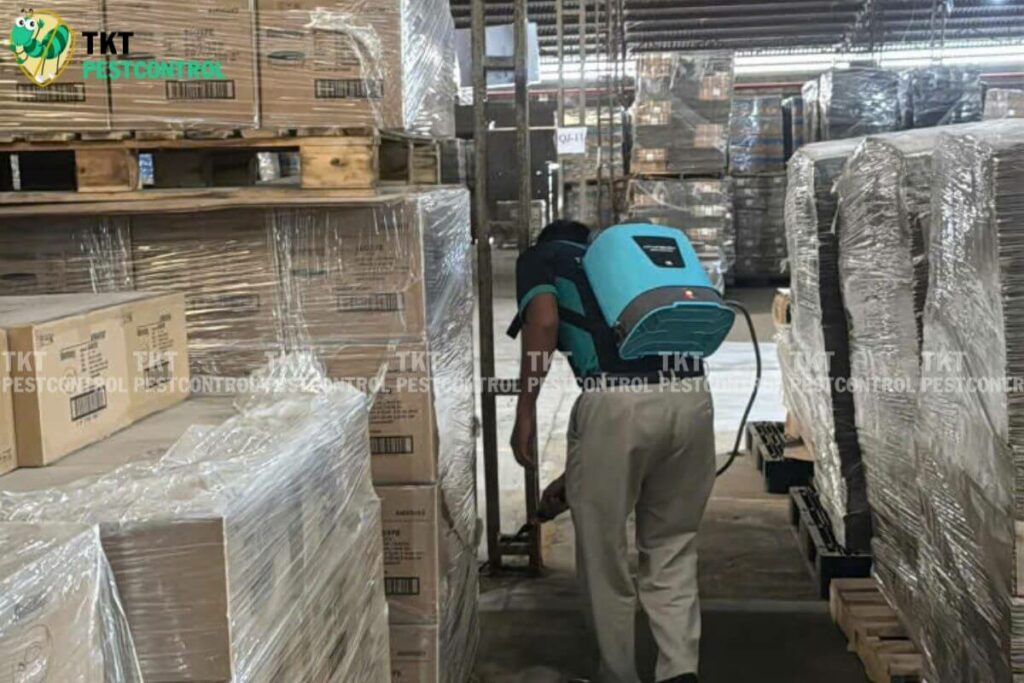 chuyen gia diet moi tkt