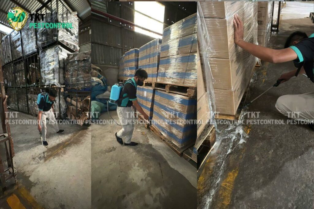 cac luu y diet moi tkt