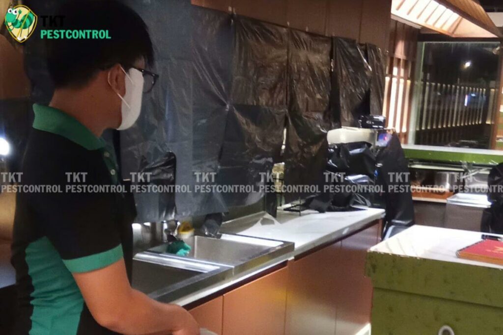 diet con trung pantry