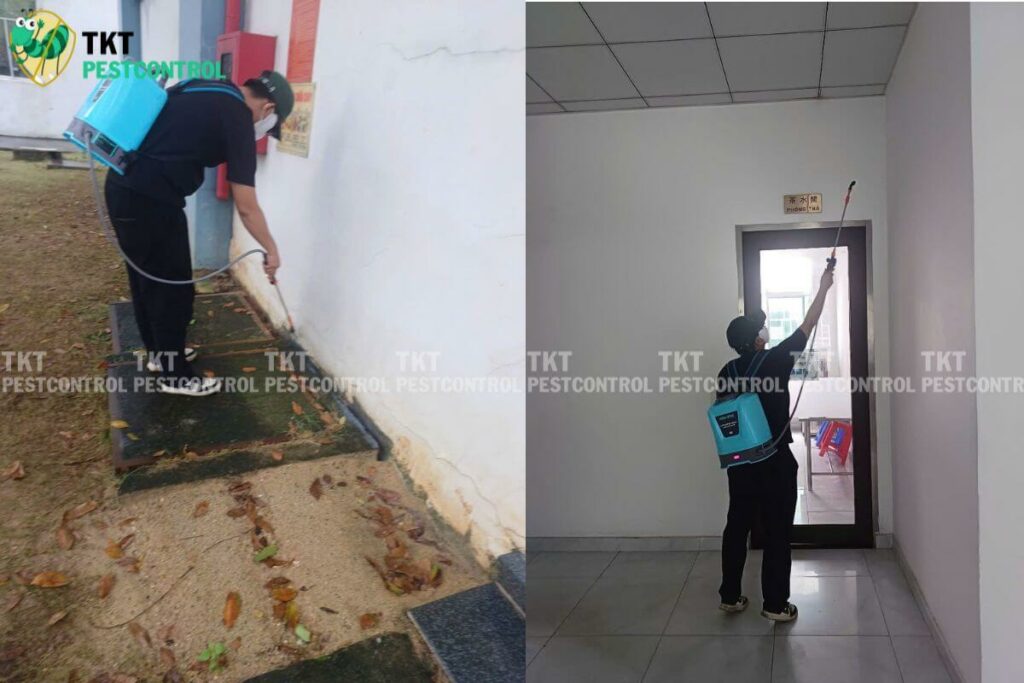 phong chong moi nha xuong